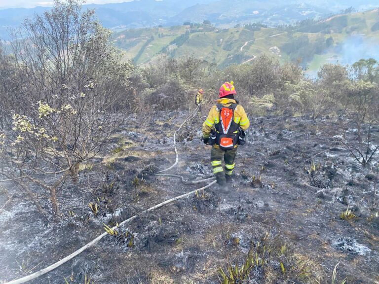 Las secuelas que dejan los incendios forestales en áreas naturales de Cuenca