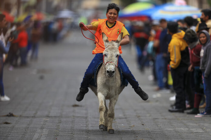 Los Andes de Ecuador acogen a la carrera de burros más grande del mundo