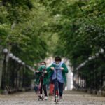 Árboles en peligro.