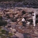 Cabeza hallada río Yanuncay