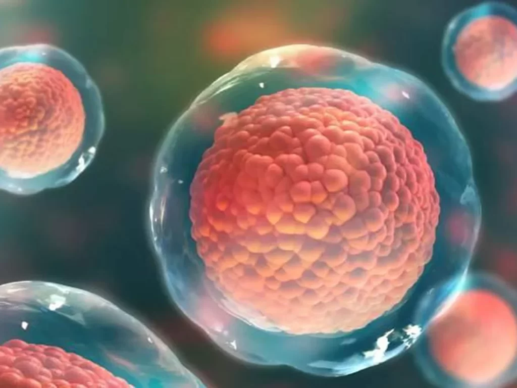 Donación de sangre de gays y bisexuales