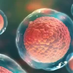 Donación de sangre de gays y bisexuales