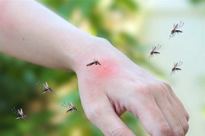 picadura-de-mosquito_df60e4e6_1280x852