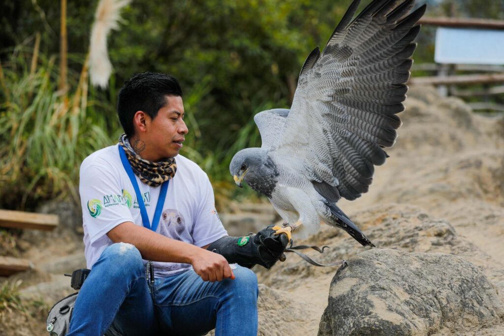 Ctrería en el Bioparque Amaru