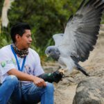 Ctrería en el Bioparque Amaru