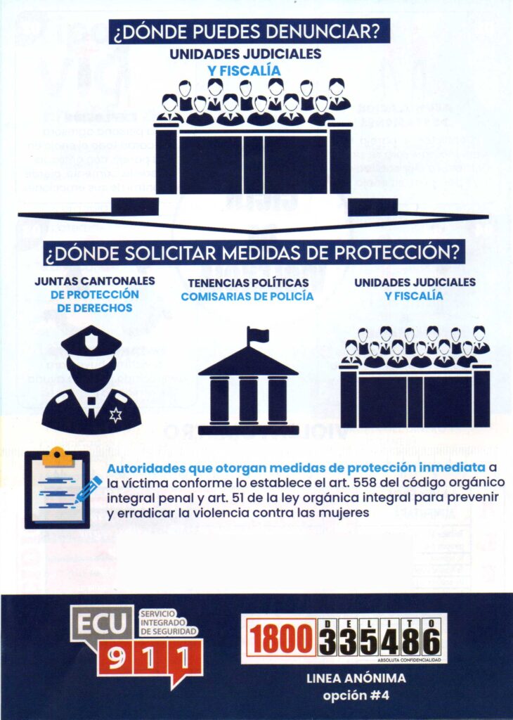 Violencia intrafamiliar en Cuenca