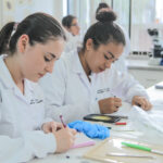 Mujeres investigando