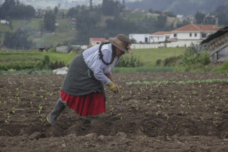 Mujeres ganan de 16 % a 18 % menos que hombres en Ecuador, dice ONU Mujeres