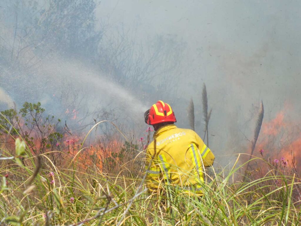 Incendio forestal Molleturo