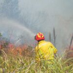 Incendio forestal Molleturo