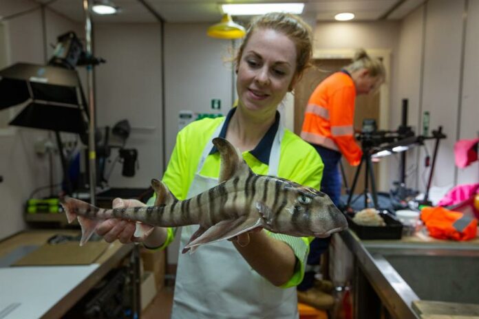 AUSTRALIA