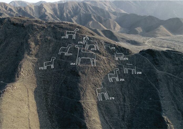 NAZCA