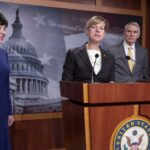 Matrimonio homosexual