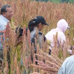 Qué dicen los candidatos sobre economía y producción