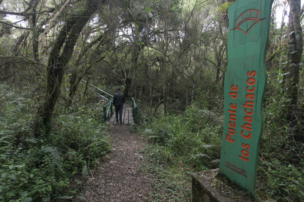 Bosque Protector Aguarongo