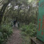 Bosque Protector Aguarongo