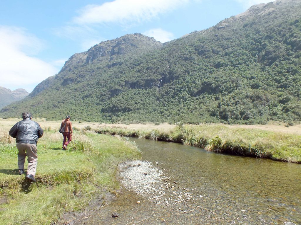 La gestión ambiental es competencia de prefecturas