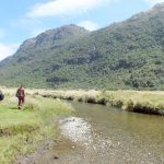 La gestión ambiental es competencia de prefecturas
