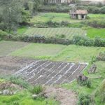 Canales de riego. Foto El Mercurio