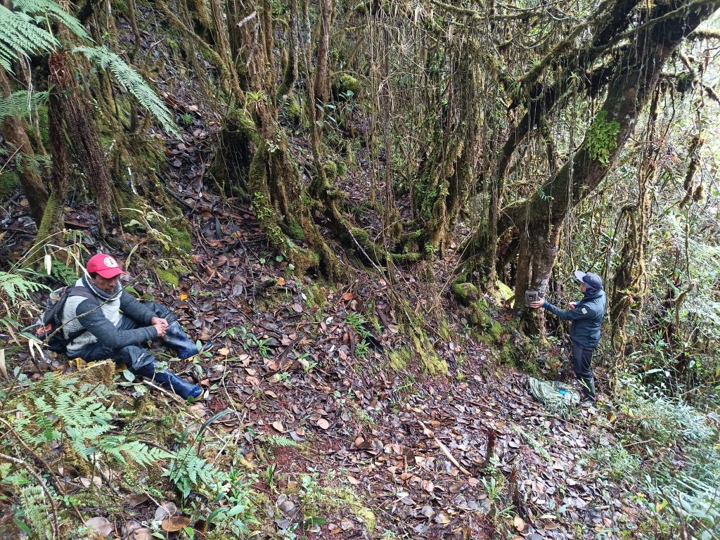 Proyecto ambiental Sígsig