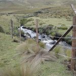 Pago por cuidar el medio ambiente