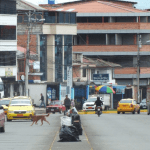 En la zona de la Feria Libre, “vacunadores” intentaron extorsionar a un comerciante de la zona. IVM