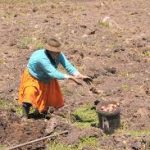 Qué dicen los candidatos sobre economía y producción