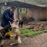 Fundación Adopta No Compres Cuenca