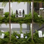 Productos con Cannabis