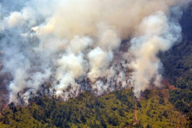 Fuertes vientos provocan la rápida propagación de incendio forestal en Cuba