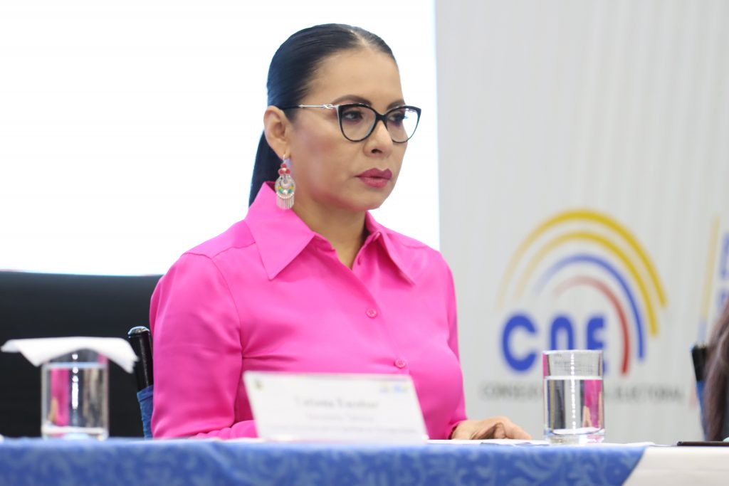 Diana Atamaint, convoca al pleno del CNE a una Sesión Ordinaria.