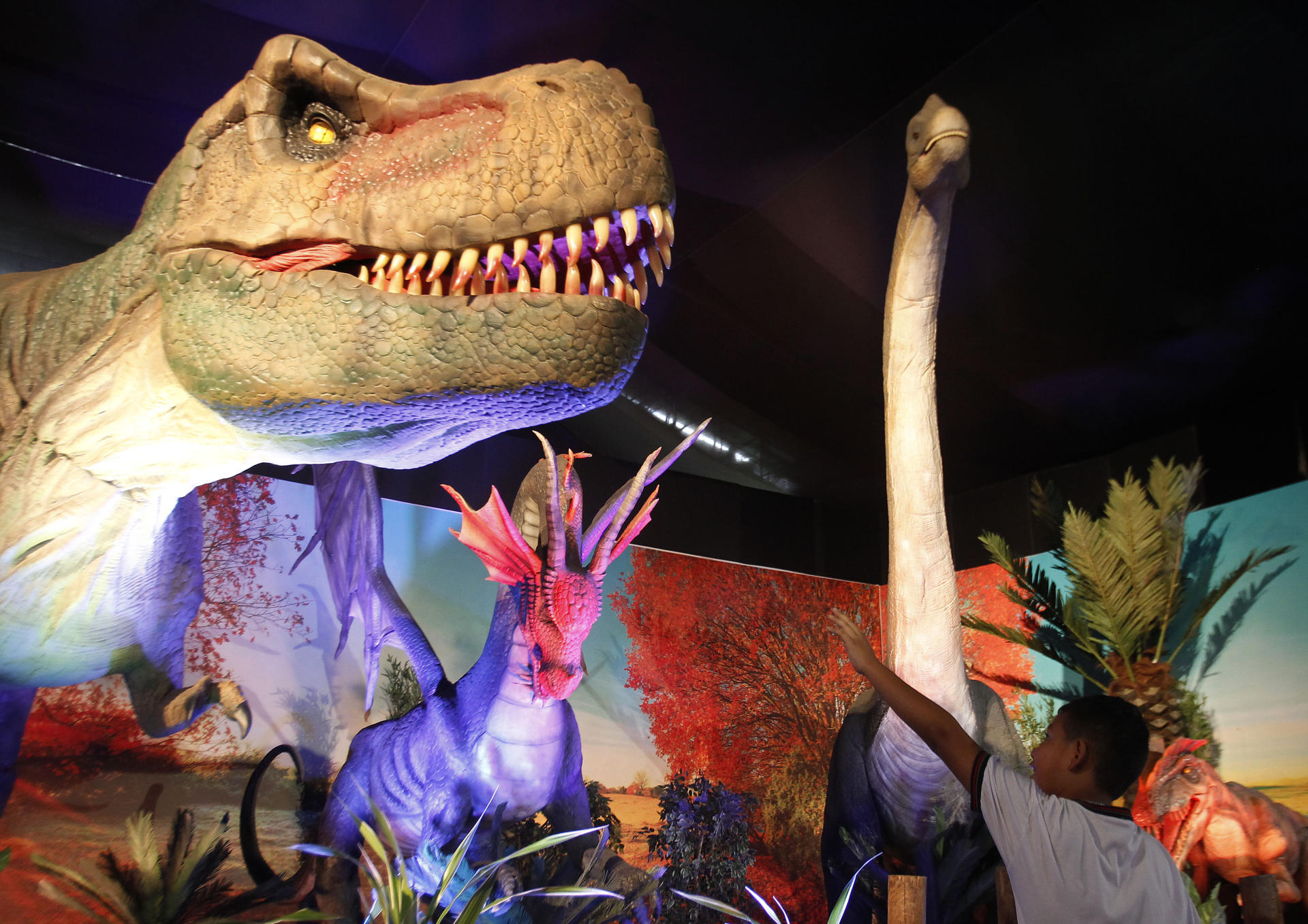 Dinosaurios y dragones animatrónicos inician un viaje mágico en Medellín -  Diario El Mercurio