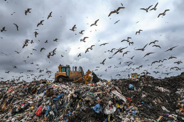 La ONU llama a una «guerra contra los residuos» en el Día de Cero Desechos