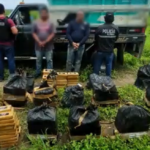 Incautación de cocaína