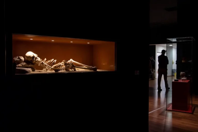 Devuelven a la vida a ‘Pepita’, un emblemático esqueleto de 10.000 años