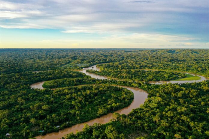 selva-tropical-amazonica-ecuador_135ea5a5_1280x853