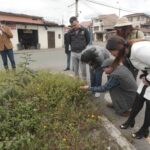 Regresan insectos a zona verde de la Doce de Abril