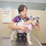 Cuidados de las mascotas geriatricas