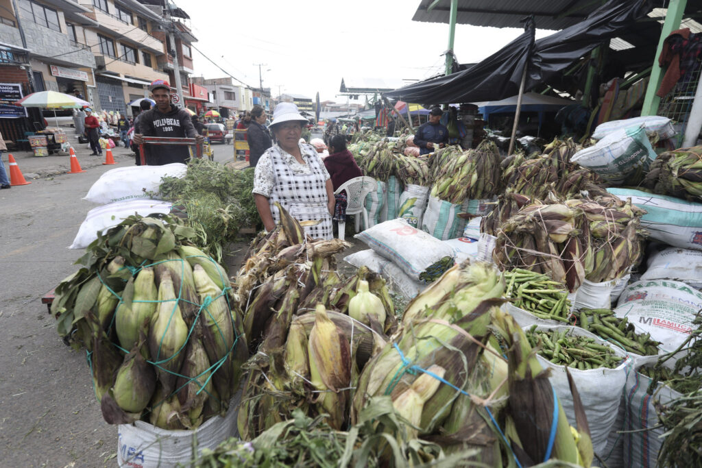 La reubicación del mercado mayorista de El Arenal, es uno de los desafíos que tiene Cristian Zamora, nuevo alcalde de Cuenca.