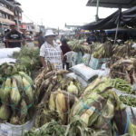 La reubicación del mercado mayorista de El Arenal, es uno de los desafíos que tiene Cristian Zamora, nuevo alcalde de Cuenca.