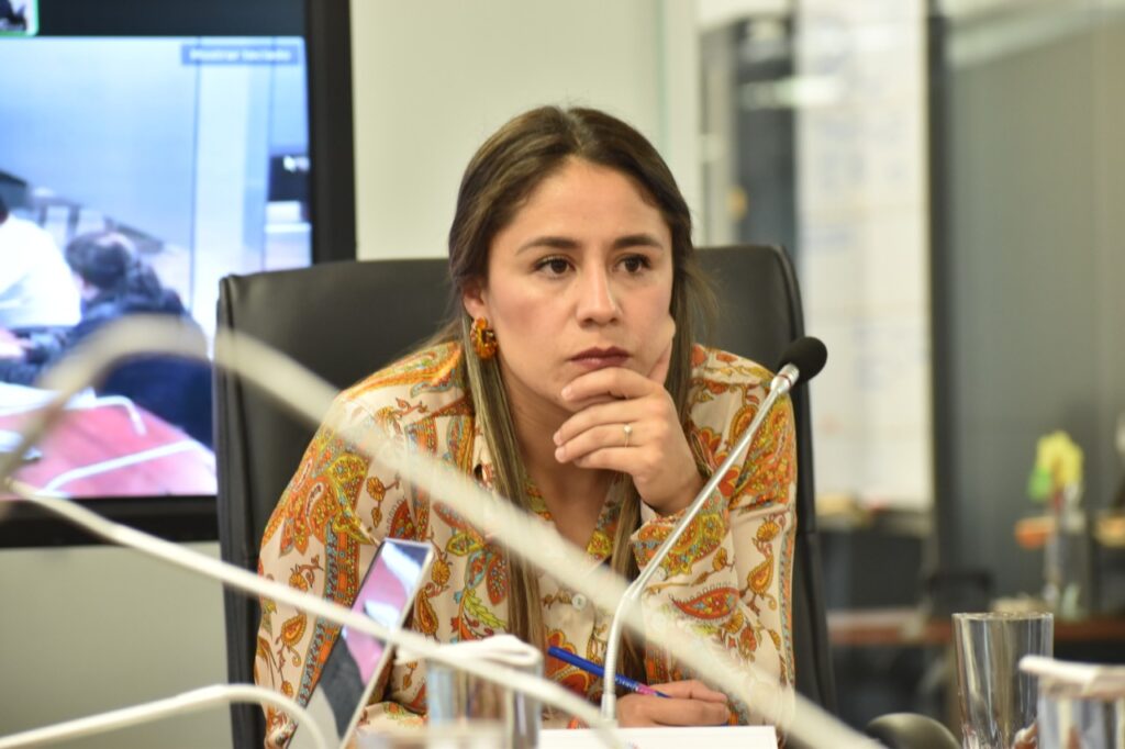 Sofìa Sánchez, exasambleísta por Azuay.