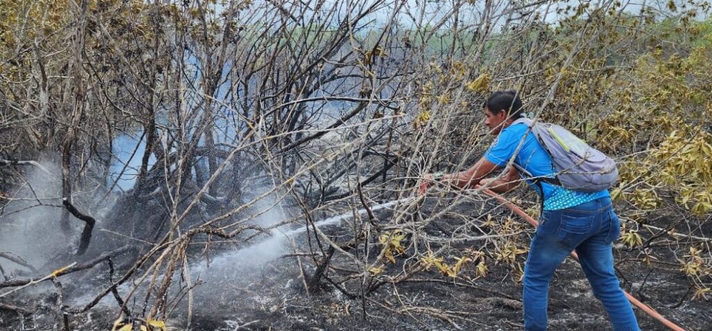 incendio Galápagos manglar thumbnail