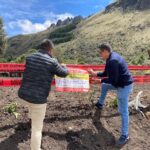 construcciones cajas