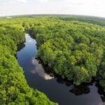 División de criterios por consulta del Yasuní