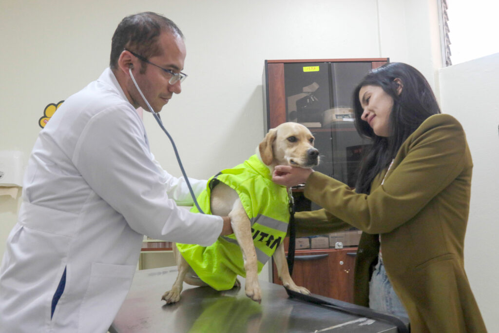 El nuevo Hospital de Mascotas cuenta con consultorio y quirófanos para los animales./XCA