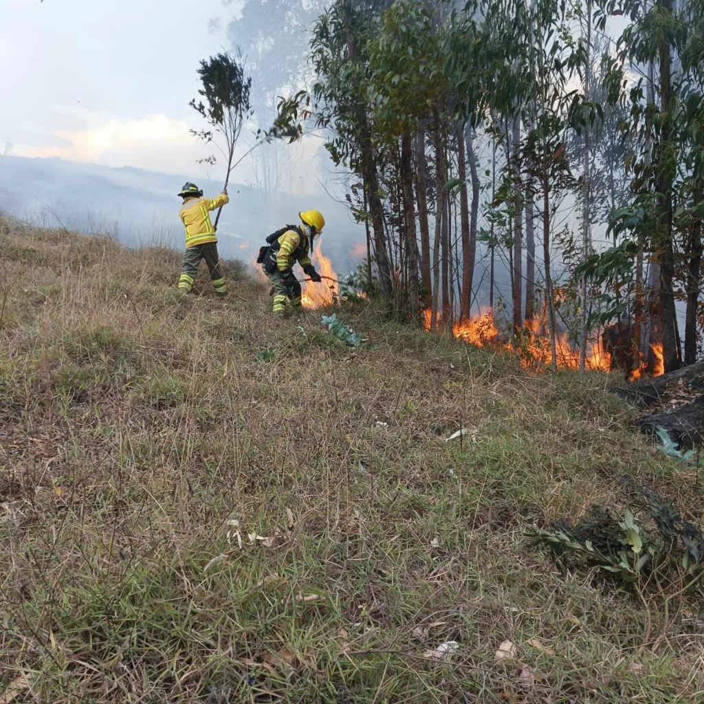 Bomberos de distintas ciudades acudieron para combatir un incendio forestal de proporciones generado en El Cisne. Cortesía