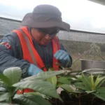 Ecuador tiene un "océano de conocimiento" en la Amazonía, donde los biólogos escudriñan la selva en busca de plantas y semillas.