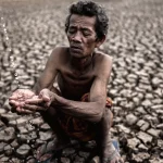 Sustituir la mitad de la carne y lácteos de origen animal en la dieta por frutas y verduras de aquí a 2050 tendría un impacto muy positivo en el medioambiente. Foto: Freepik