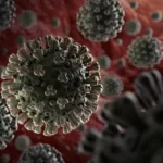La inmunización contra la covid-19, ya sea mediante vacuna o mediante infección, no solo reduce las posibilidades de contagiarse del coronavirus, sino también de transmitirlo a terceros. Foto: Internet