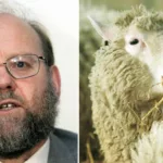 El científico británico Ian Wilmut, "padre" de la oveja Dolly, el primer mamífero clonado a partir de células adultas, falleció a los 79 años. Foto: Internet